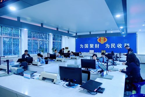 慶陽稅務 高效辦稅促發展，稅惠服務暖企心