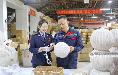 博白稅務 以“稅惠+服務”雙引擎，賦能企業揚帆向海圖強